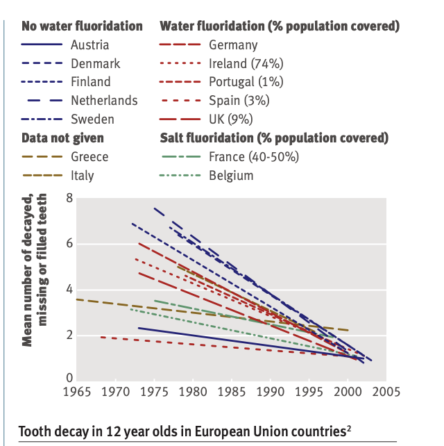 Screenshot 2024-11-21 at 11.46.52 AM.png